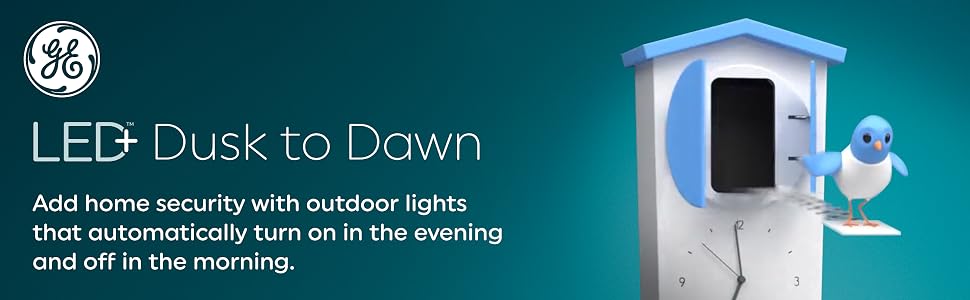 LED+ Dusk to Dawn
