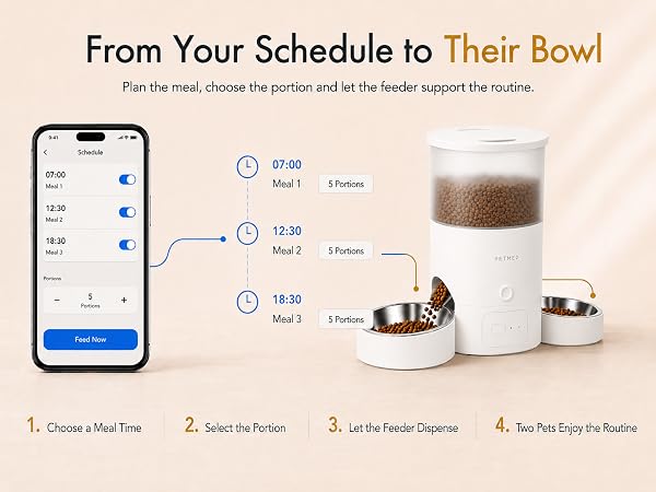Automatic Cat Feeder