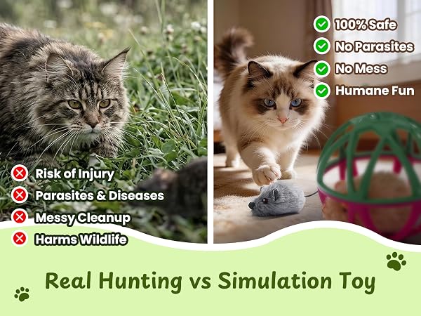 interactive cat toys
