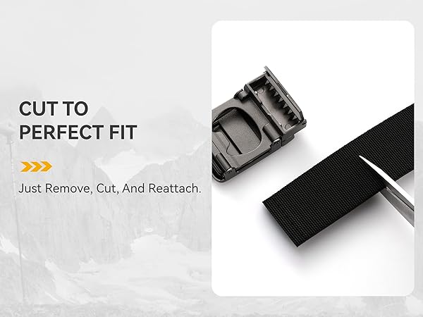 removable buckle