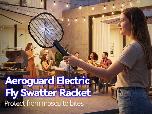 fly swatter