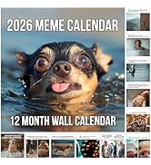 2026 Memes Wall Calendar (2026 Calendar)