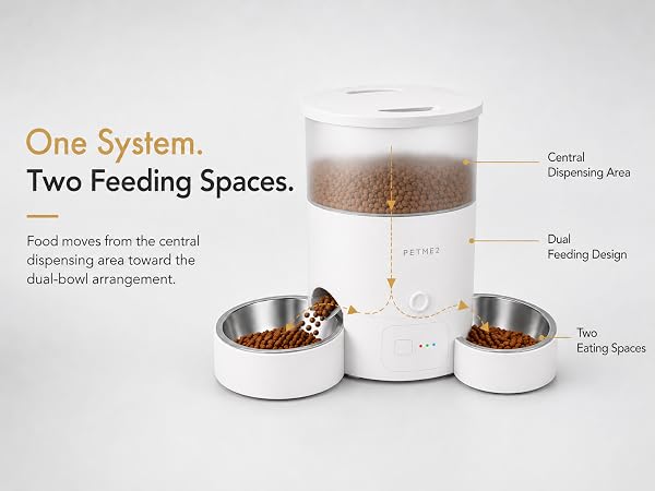 Automatic Cat Feeder