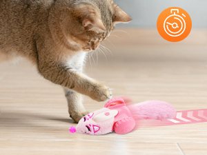 cat toys,cat toys for indoor cats best sellers,automatic cat toyinteractive cat toys for indoor cats