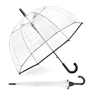 clear umbrella