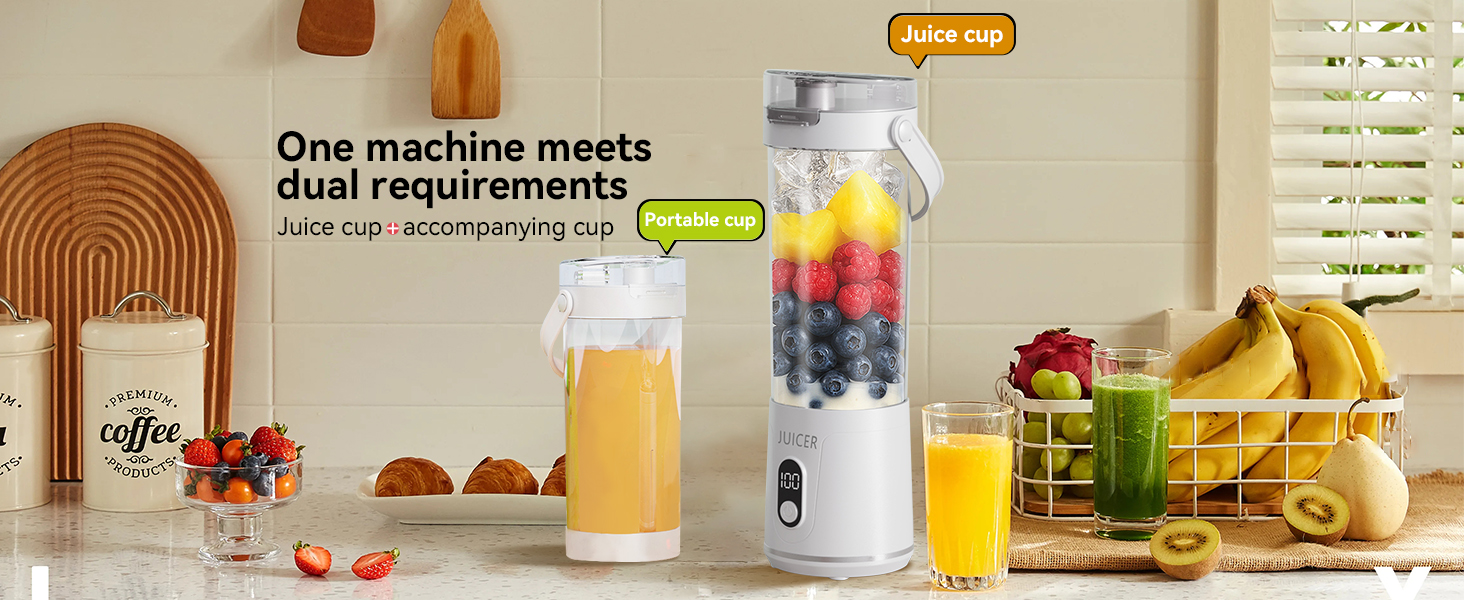 Portable Personal Electric USB Juicer