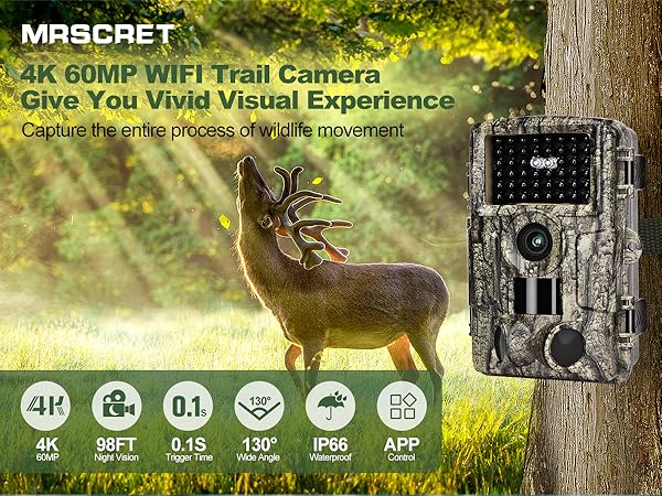 trail camera