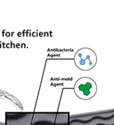 ZLR-BIOTECH-2