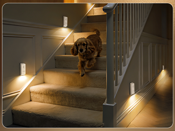 night light