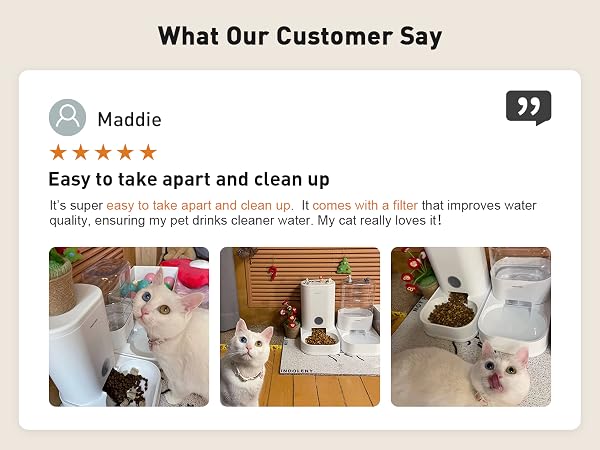 automatic cat food dispenser