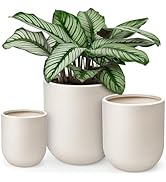 homenote Flower Pots 13/11.5/10 Inch,Large Plant Pots Indoor with Drainage,Plastic Pots for Plant...