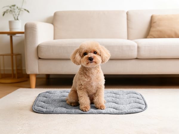 dog cooling mat