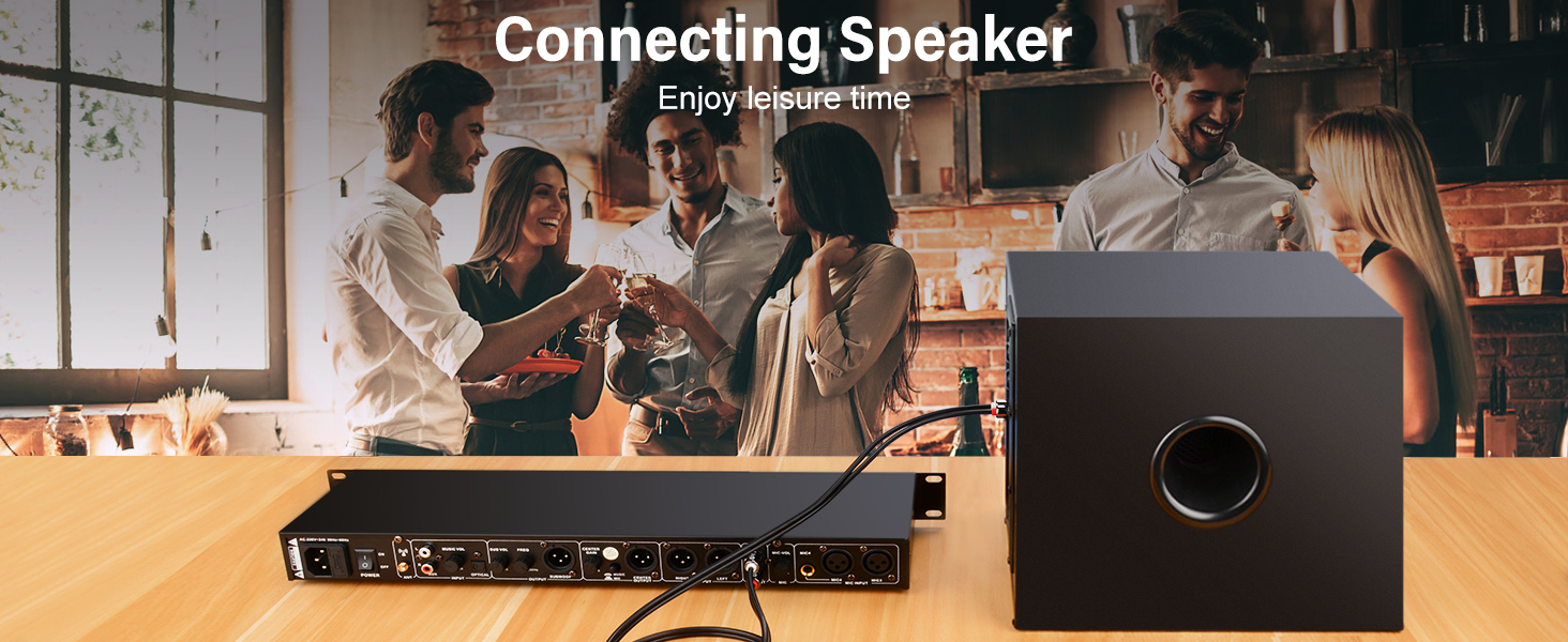 Party,Speaker,Music