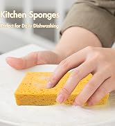 Kitchen Sponges