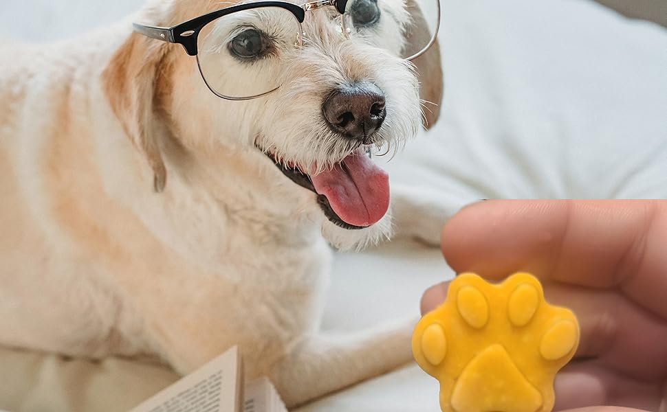 Dog Paw silicone mold