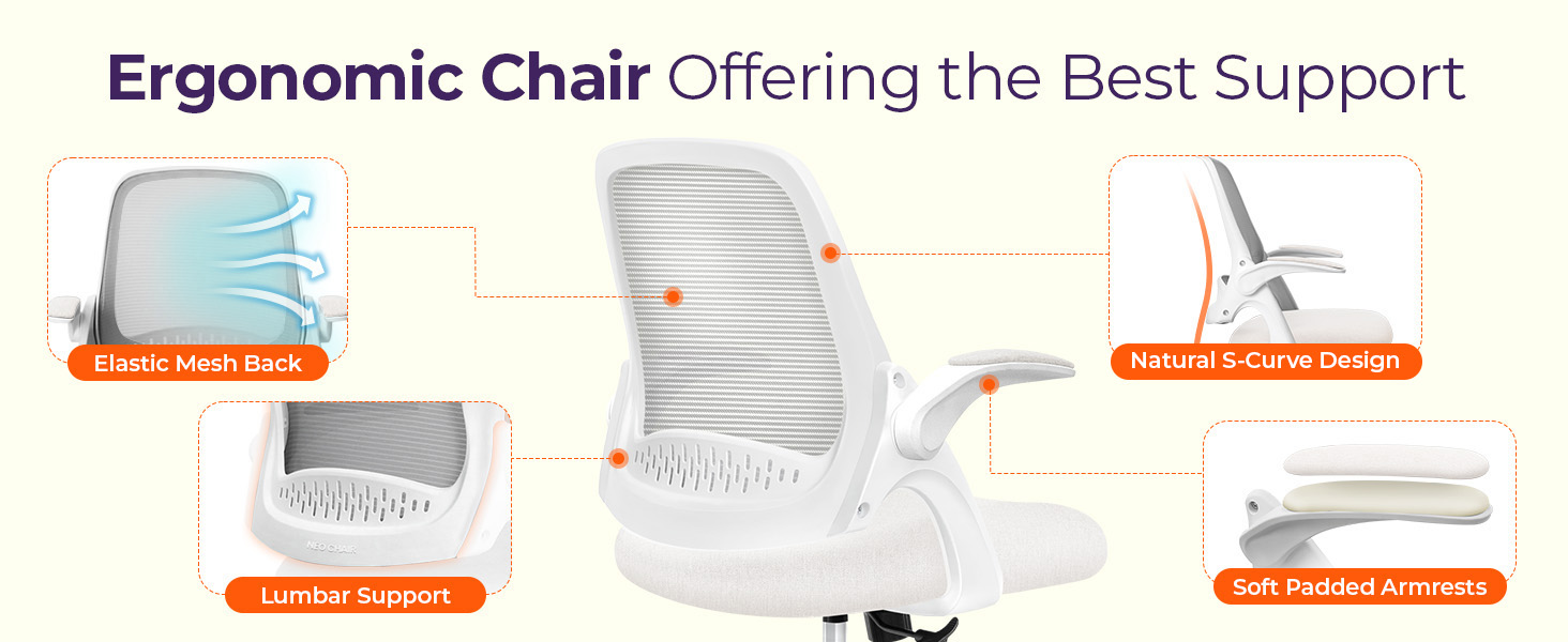 Ergonomic Chair with Comprehensive Support