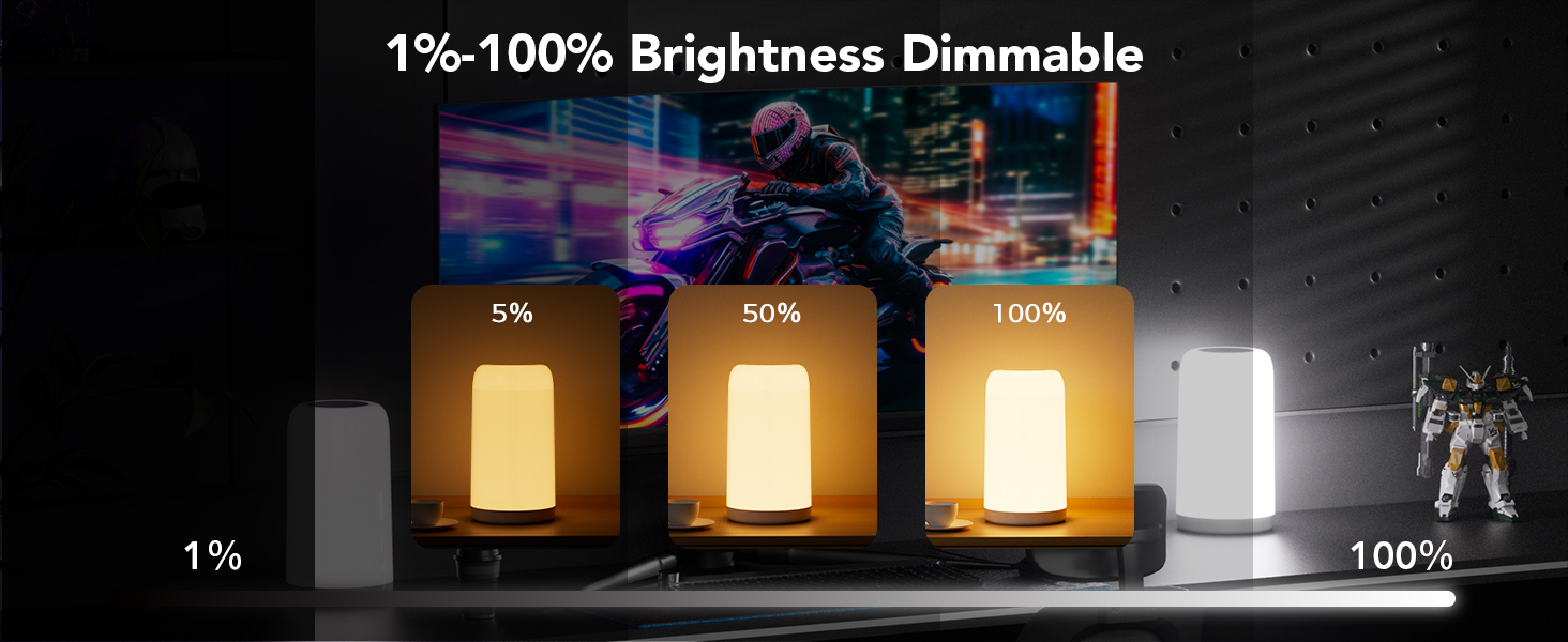 1%-100% Brightness Dimmable