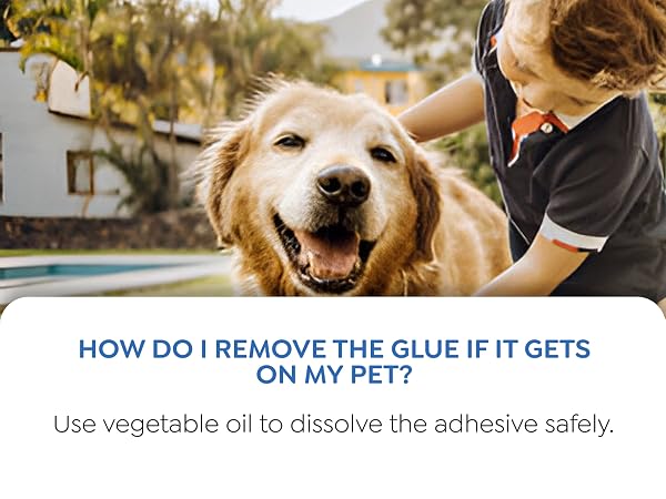glue