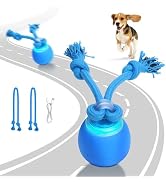 Oxawo Interactive Dog Toys Electric Dog Ball Touch Wake-up with Dogs Chirping Rechargeable Toys I...