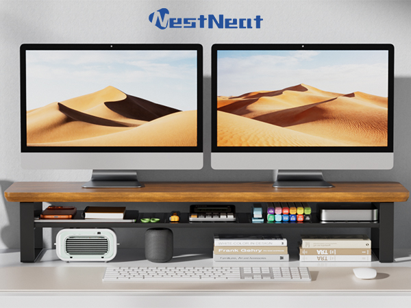 Dual Monitor Stand