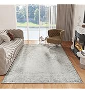 AMOAMI Vintage Area Rug-Rugs for Living Room 5x7 Washable Rug for Bedroom Decor-Neutral Rug for D...