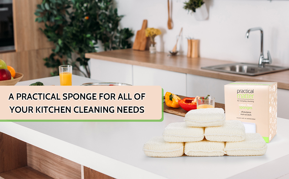 kitchen sponges practical matter kitchen sponge sponges kitchen dish sponge