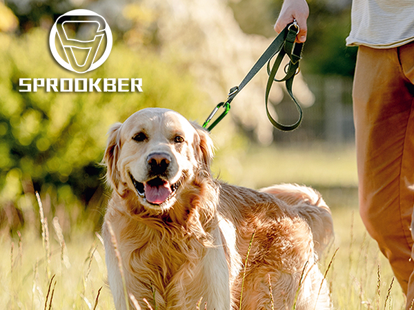 4 inch aluminum carabiner