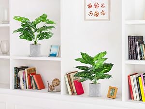 https://m.media-amazon.com/images/S/aplus-media-library-service-media/5b06fbd7-89fc-4d82-bf16-e03d9a698645.__CR0,0,900,675_PT0_SX300_V1___.jpg