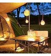 ROSHWEY Solar Lantern Gifts for Women - 4 Pack Outdoor Lanterns Waterproof with 15 LED Hanging Ga...