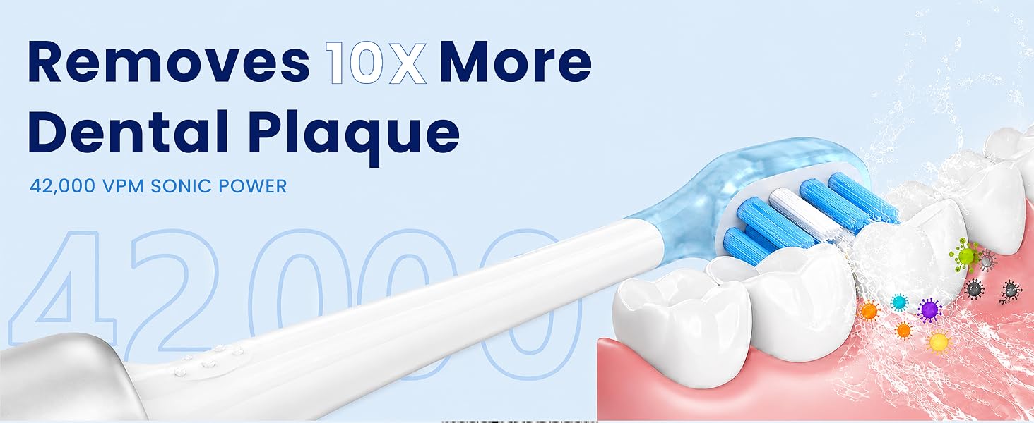 Clean dental plaque