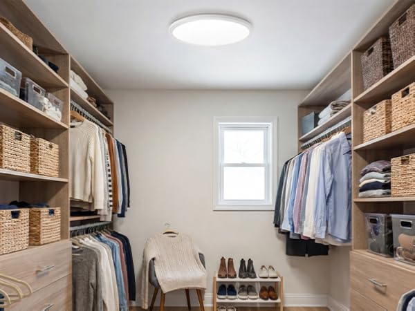 ceiling light for closets