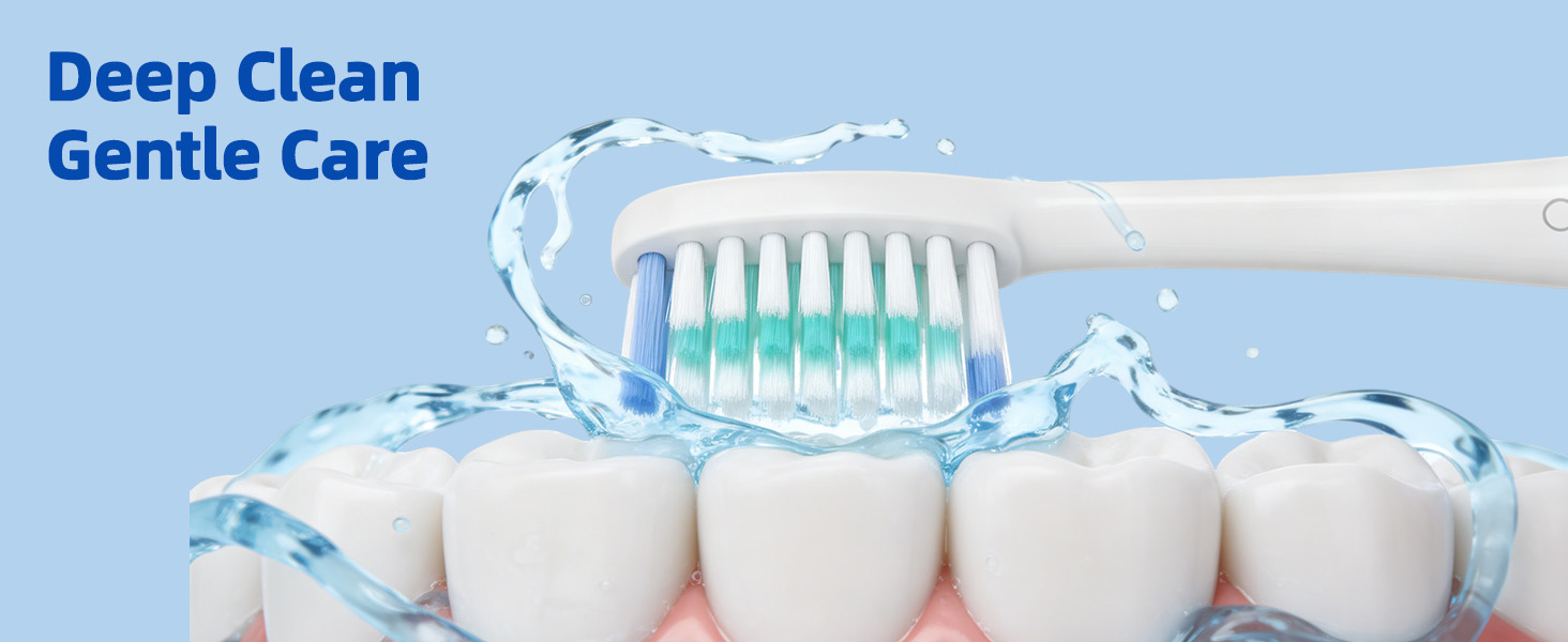 SEIGA Sonic Electric Toothbrush for Adults_17