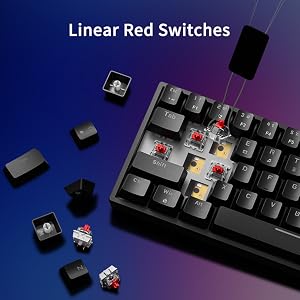 Text reads 'Linear Red Switches'. Mechanical keyboard with black keys and red linear switches displayed alongside individual switch components on blue and purple gradient background.