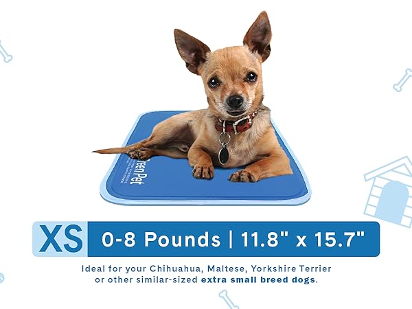 cool pet pad