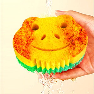 frog Bulk Sponge