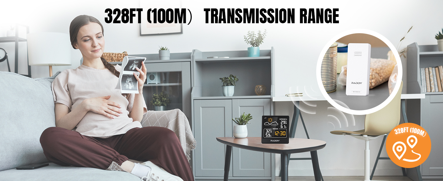 Raddy WF-50V Indoor Outdoor Thermometer Hygrometer