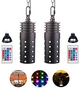 Makergroup Outdoor Hanging Tree Lights,12V Low Voltage Pendant Lights, Replaceable RGB+Warm White...