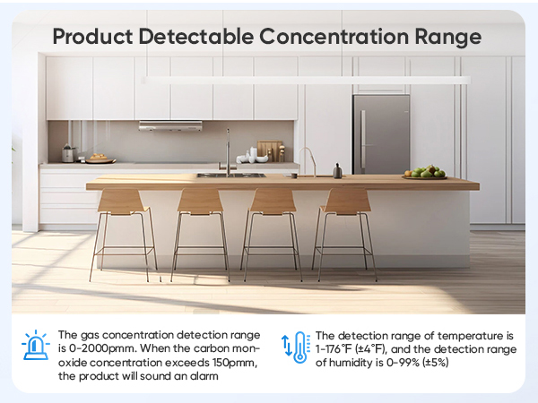 travel carbon monoxide detector