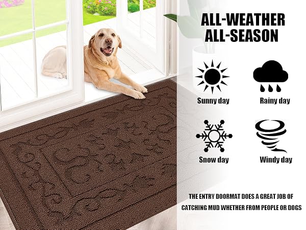 back door mat