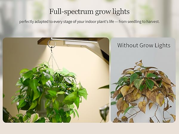 plant stands