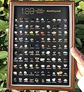 100pc Specimen rack