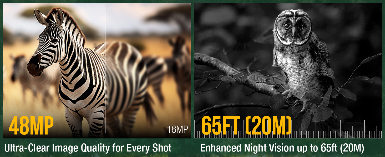 night vision hunting trail camera