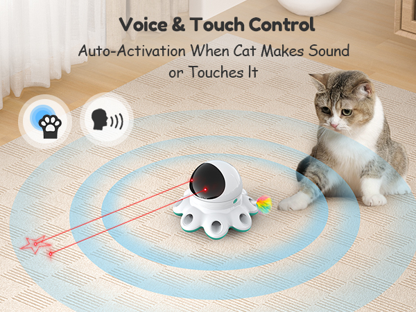 Indoor Cat Toys