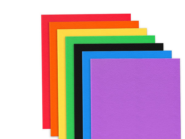 Two Pocket Folder with Prongs