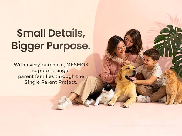 Mesmos supports single parent project