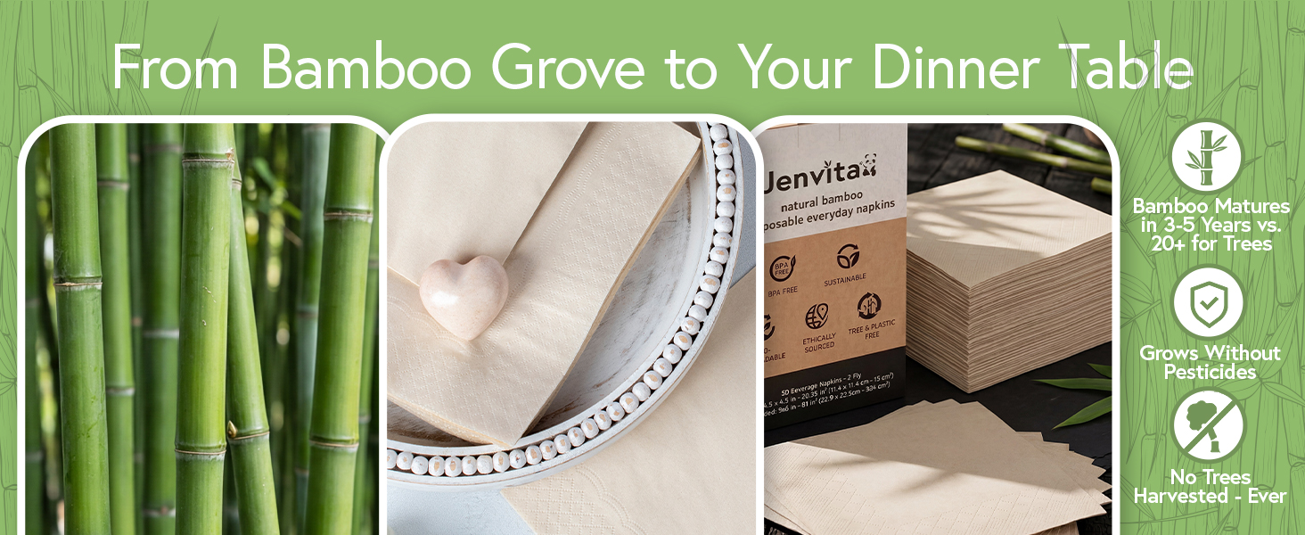 jenvita