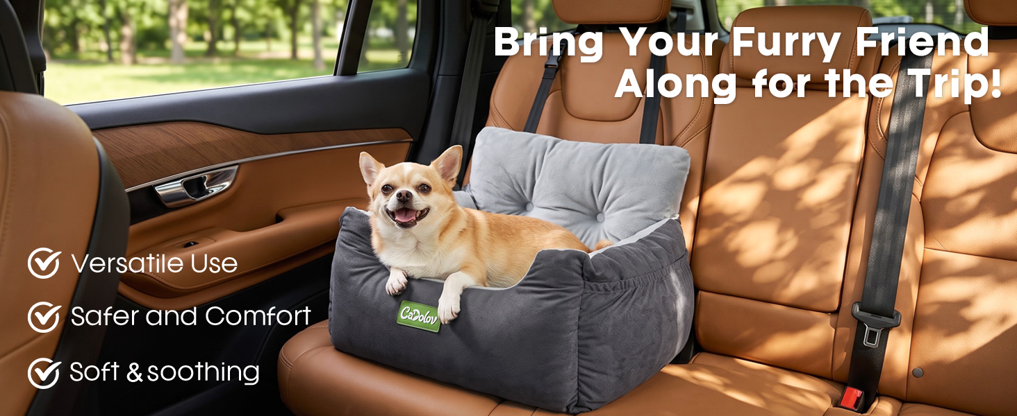 dog carseat