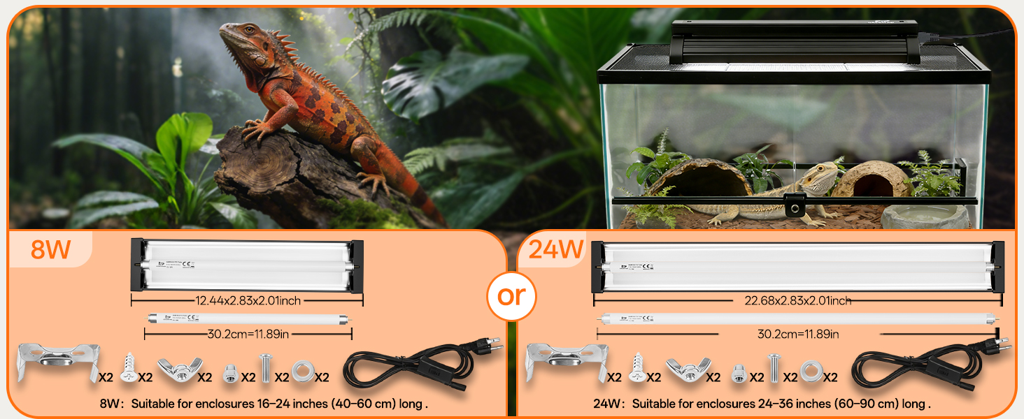 T5 8W Terrarium Light Hood for 16-24 inches tank setup ensuring D3 synthesis and calcium absorption.