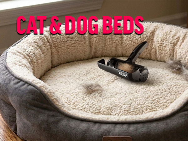 Cat & Dog Beds