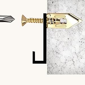 Insert the flat head self tapping screw into the anchor hole